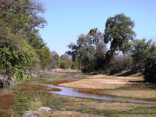 4. March - The Lokola River